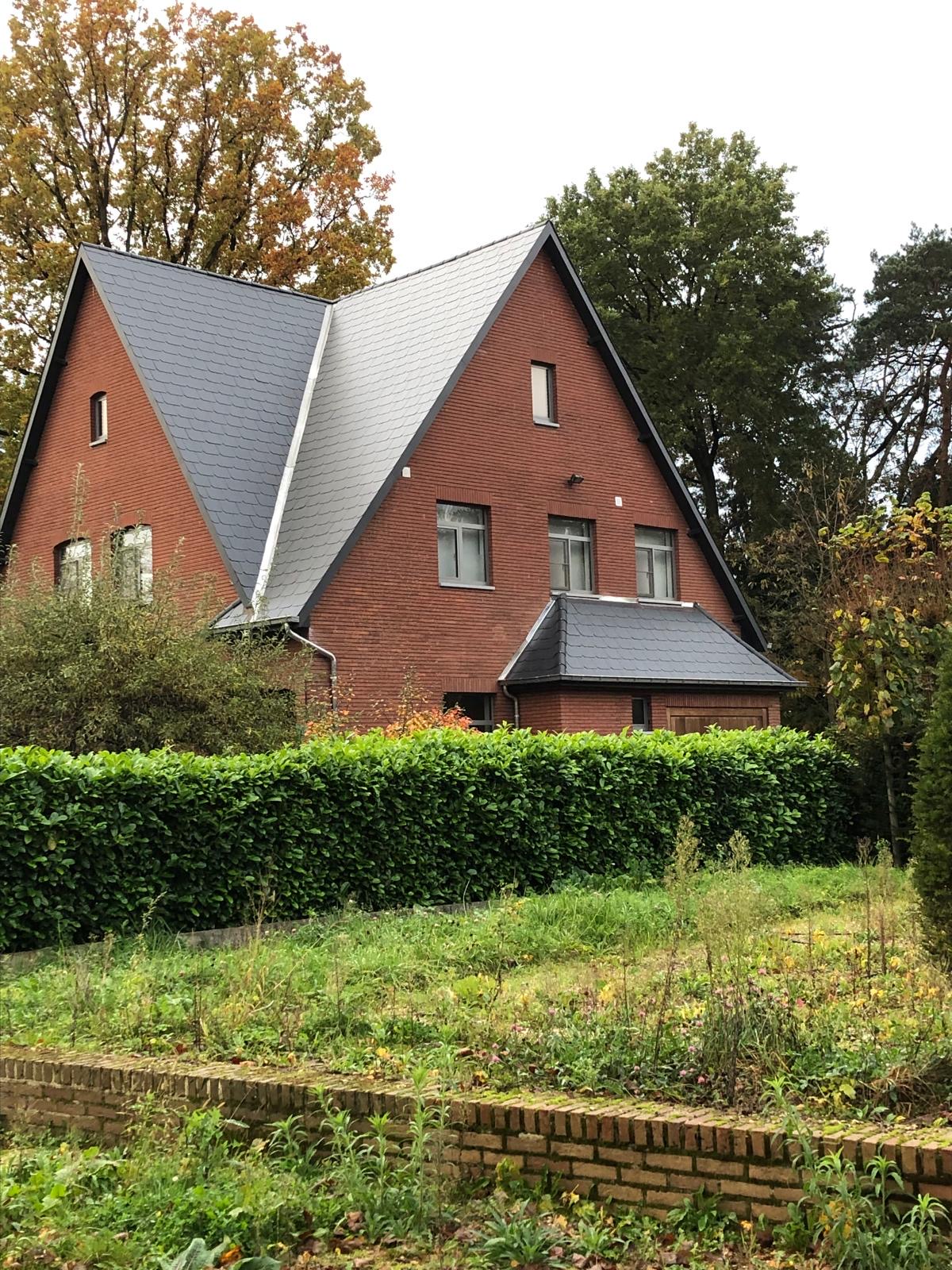 Disztlse Dakwerken, beeld 3