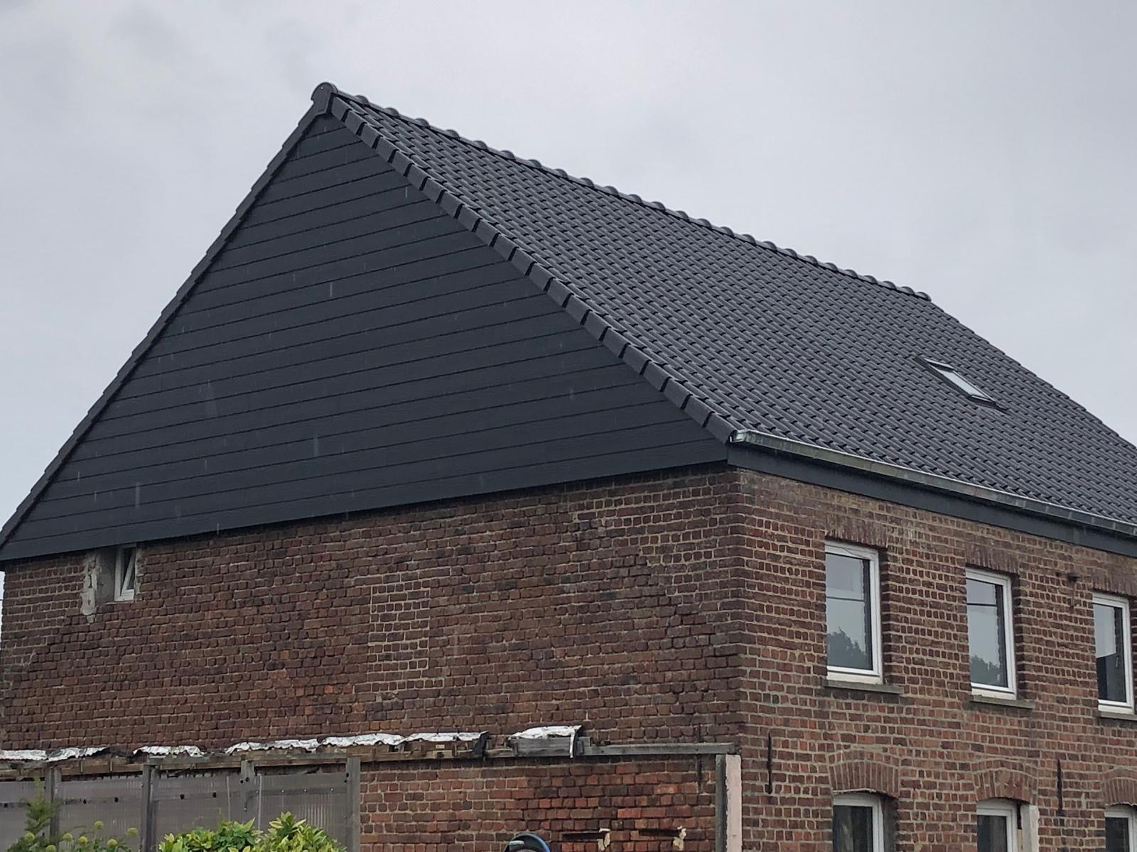 Disztlse Dakwerken, beeld 1