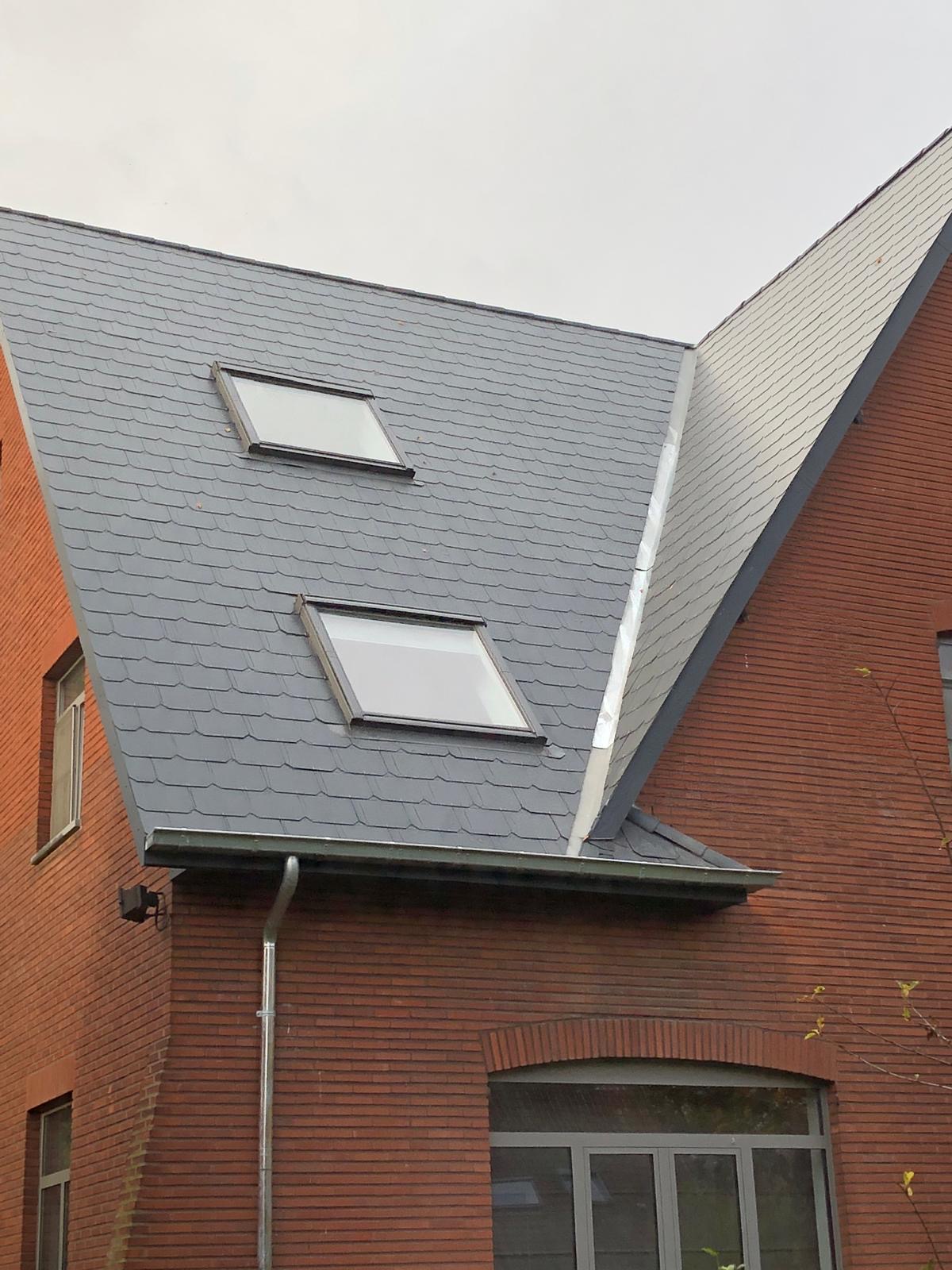Disztlse Dakwerken, beeld 2